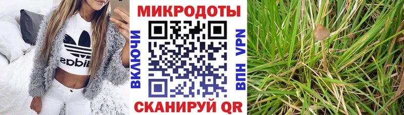 Псилоцибиновые грибы Magic Shrooms  Сычёвка 